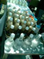/album/evidencias-fotogaleria/contaminacion-7-jpg1/